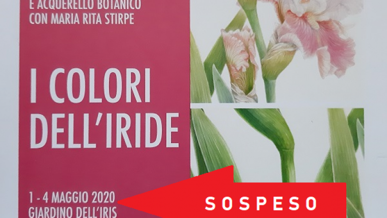 SOSPESO il Corso di disegno e acquerello botanico con Maria Rita Stirpe “I Colori dell’Iride”