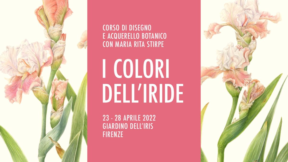 “I Colori dell’Iride” – Corso di disegno e acquerello botanico con Maria Stirpe
