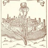 Bollettino