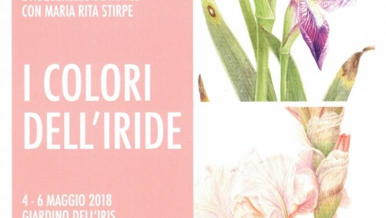 I Colori dell’Iride – Corso di disegno e acquerello botanico con Maria Rita Stirpe