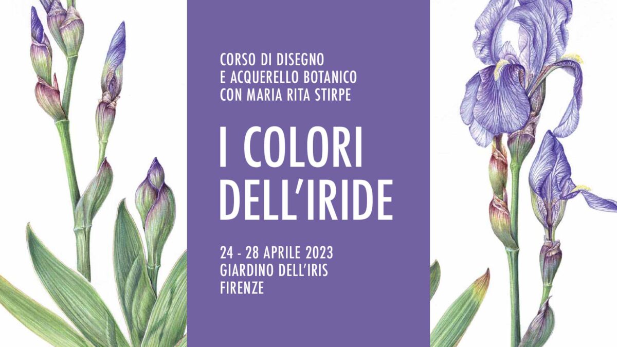 “I Colori dell’Iride” – Corso di disegno e acquerello botanico con Maria Stirpe