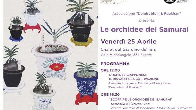 Le orchidee dei Samurai