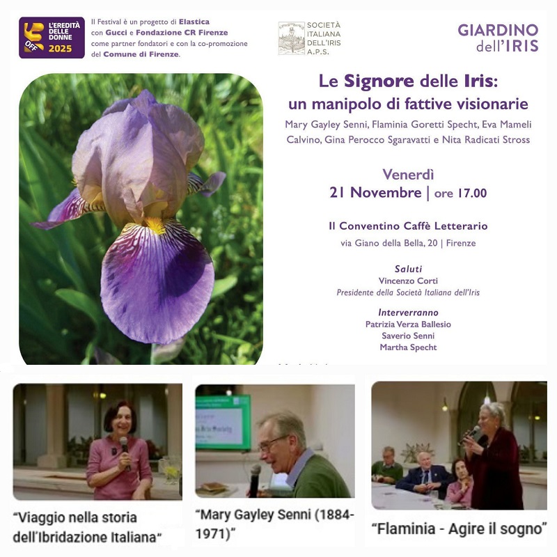 Video delle conferenze “Eredità delle Donne”